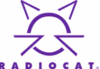 404
